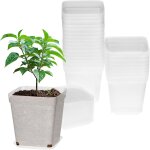 Teppe - ® 24 pice pots de semis, Ø7cm pots de plante carrs transparents avec soucoupe, godet semis ...