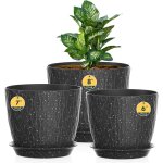 Teppe - lot de 3 pots de fleurs avec systme d'irrigation, 20, 3 / 17, 8 / 15, 2 cm, avec systme d'irrigation ...