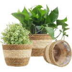 Teppe - 3pcs panier de jardinire en jonc de mer, 3 taille pot de plante tiss couverture de pots de ...