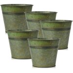 Teppe - lot de 5 pots de fleurs en acier galvanis, parfaits pour la dcoration moderne et les pots de ...