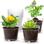 Teppe - lot de 8 pots de fleurs avec soucoupe, 10, 2 cm, en plastique, avec plusieurs trous de drainage, ... Teppe - lot de 8 pots de fleurs avec soucoupe, 10, 2 cm, en plastique, avec plusieurs trous de drainage, ...