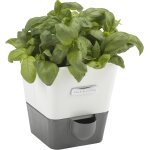 Teppe - h105349 burwell pot  herbes aromatiques avec systme d'irrigation auto - arrosage place pour ...