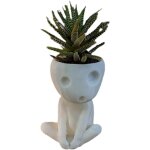 Teppe - head pot de fleurs, pot de fleur de visage lumineux, joli pot de fleurs en résine succulente ... Teppe - head pot de fleurs, pot de fleur de visage lumineux, joli pot de fleurs en résine succulente ...