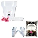 Teppe - - kit de rempotage pour orchides : pot transparent pour orchides, 4 trous de drainage et soucoupe ...