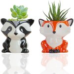 Teppe - mini pots de fleurs en cramique pot de fleur interieur petit pot plante grasse pots de fleurs ...