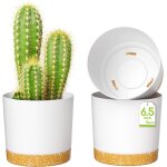 Teppe - pots de fleurs de 16, 5cm, jardinières modernes avec trous de drainage et soucoupe détachable, ... Teppe - pots de fleurs de 16, 5cm, jardinières modernes avec trous de drainage et soucoupe détachable, ...