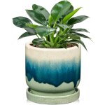 Teppe - pot de fleurs en cramique avec trous de drainage et soucoupes, diamtre : 13 cm, pour l'intrieur, ...