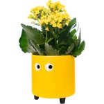 Teppe - - pot de fleurs original avec motif d'?il. pot de fleurs et de plante dcoratif. jardinire dcorative ...