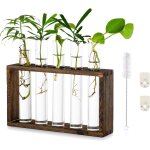 Teppe - tenture murale en verre planteur propagation station murale 5 tube a essai en support en bois ... Teppe - tenture murale en verre planteur propagation station murale 5 tube a essai en support en bois ...