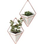 Teppe - trigg jardinire suspendue et dcoration murale gomtrique pour petite plante, plante succulente ...