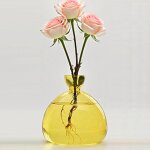 Teppe - vase a fleurs d'avocat en verre, kit de croissance hydroponique, pot de dmarrage de graines ...