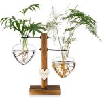 Terrarium de plantes en verre avec support en bois, vases hydroponiques en verre a double coeur cr�atif, ...