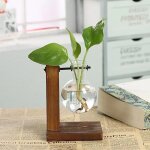 Terrarium vasevase dcoration maison bonsa fleur plante vases vintage pot de fleur transparent cadre ...