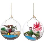 Terrarium en verre suspendu 2 pi�ces grande ouverture vase plante boules 12cm fleur vase pot boules de ...