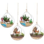 Terrarium en verre suspendu 4 pi�ces grande ouverture vase plante boules 10cm fleur vase pot boules de ...