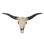 T�te de taureau d�coration murale 75cm troph�e longhorn en polyr�sine int�rieur / ext�rieur naturel 04 ...