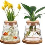 Tianyi - 2 pices vases hydroponiques en verre avec socle et bouchons en lige, vase transparent de bureau, ...