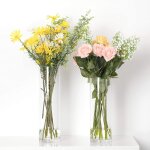 Tianyi - lot de 2 vases a fleurs en verre transparent, design brevet, pour salon