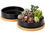 Tianyi - 2pcs pots de fleur - pot de fleur en céramique, pot de plante avec trou et soucoupe, vase décoratif ... Tianyi - 2pcs pots de fleur - pot de fleur en céramique, pot de plante avec trou et soucoupe, vase décoratif ...