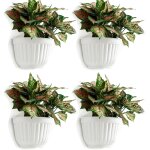 Tianyi - 4 pack rsine tenture murale pot de jardinire vertical jardin salon montage mural fentre suspendre ...