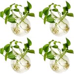 Tianyi - 4 pices jardinires en verre  suspendre 10cm de diamtre en verre rond pot - eau planter des ...