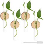 Tianyi - lot de 4 vases a essai dcoratifs en verre - cratifs - a suspendre au mur - avec crochet et ...