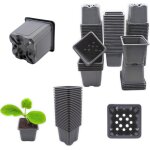 Tianyi - 40 godets plastique 8cm pour semis, repiquage, bouturage rutilisables et rsistants - pots ...