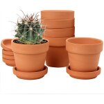 Tianyi - lot de 6 mini pots en terre cuite - 10 x 10 cm - avec soucoupe et trou de drainage - pot de ... Tianyi - lot de 6 mini pots en terre cuite - 10 x 10 cm - avec soucoupe et trou de drainage - pot de ...