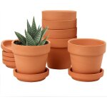 Tianyi - lot de 6 mini pots en terre cuite - 8 x 8 cm - avec soucoupe et trou de drainage - pot de fleurs ... Tianyi - lot de 6 mini pots en terre cuite - 8 x 8 cm - avec soucoupe et trou de drainage - pot de fleurs ...
