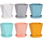 Tianyi - lot de 6 pots de fleurs en plastique avec soucoupe pour semis et plantes miniatures (rose, jaune, ... Tianyi - lot de 6 pots de fleurs en plastique avec soucoupe pour semis et plantes miniatures (rose, jaune, ...