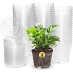 Tianyi - lot de 60 pots de fleurs avec soucoupe, 7, 6 cm, en plastique, avec plusieurs trous de drainage, ... Tianyi - lot de 60 pots de fleurs avec soucoupe, 7, 6 cm, en plastique, avec plusieurs trous de drainage, ...