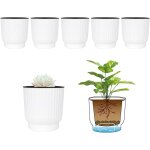 Tianyi - 6pcs bac à fleurs auto - irrigation plastique rond - blanc, pot avec réserve d'eau pot avec ... Tianyi - 6pcs bac à fleurs auto - irrigation plastique rond - blanc, pot avec réserve d'eau pot avec ...