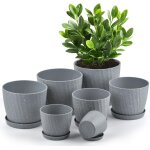 Tianyi - 7pcs pots de fleurs plastique avec trous de drainage et soucoupes pots de plantes d'intérieur ... Tianyi - 7pcs pots de fleurs plastique avec trous de drainage et soucoupes pots de plantes d'intérieur ...