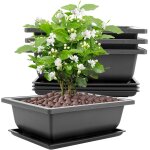 Tianyi - lot de 8 grands bols a bonsaï - 23 x 17 x 8 cm - avec plateaux - en plastique - convient pour ... Tianyi - lot de 8 grands bols a bonsaï - 23 x 17 x 8 cm - avec plateaux - en plastique - convient pour ...