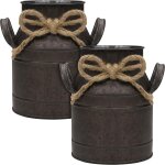 Tianyi - belle vous vase vintage a fleurs en mtal (lot de 2) - l11, 2 x h15, 2 cm - pot a lait shabby ...