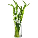 Tianyi - grand vase decoratif a poser au sol h: 29. 5 cm vase verre transparent vase haut pour pampa ...