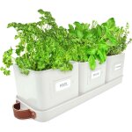 Tianyi - jardinire herbes aromatiques avec poigne en cuir - idal pour basilic en pot herbes aromatiques ...