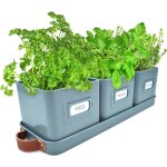 Tianyi - jardinire herbes aromatiques avec poigne en cuir - idal pour basilic en pot herbes aromatiques ...