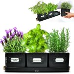 Tianyi - jardinire herbes aromatiques avec poigne en cuir - idal pour basilic en pot herbes aromatiques ...