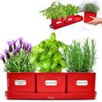 Tianyi - jardinire herbes aromatiques avec poigne en cuir - idal pour basilic en pot herbes aromatiques ...