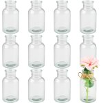 Tianyi - mezzar petits vases, lot de 12en vase transparent pour dcoration de table 10cm mini vase hauts ...
