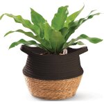 Tianyi - panier à plantes osier en jonc de mer et coton - cache pot décoratif tressé - 25 cm - pot à ... Tianyi - panier à plantes osier en jonc de mer et coton - cache pot décoratif tressé - 25 cm - pot à ...