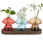 Tianyi - petit vase en verre: champignons dcoratif mignon avec plateau en bois - lot de 3 fioles pour ...