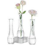 Tianyi - petit vase en verre pour fleur: 3 pices 21, 7cm grand soliflore transparent vases decoratif ...