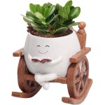 Tianyi - pots de fleurs avec visage à bascule, pot de fleurs avec visage souriant, pots de fleurs succulentes ... Tianyi - pots de fleurs avec visage à bascule, pot de fleurs avec visage souriant, pots de fleurs succulentes ...