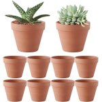 Tianyi - pots en terre cuite, 10 pièces 8cm pot terre cuite avec trou dévacuation, réutilisable petit ... Tianyi - pots en terre cuite, 10 pièces 8cm pot terre cuite avec trou dévacuation, réutilisable petit ...