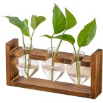 Tianyi - station de propagation des plantes en verre - petit vase vintage avec cadre en bois, décoration ... Tianyi - station de propagation des plantes en verre - petit vase vintage avec cadre en bois, décoration ...