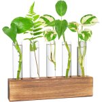 Tianyi - station de propagation, vase en verre pour fleurs terrarium, hydroponie, pot planteur avec support ...