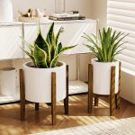 Tianyi - support plantes d'intérieur porte plante intérieur extérieur réglable piedestal pour plantes ... Tianyi - support plantes d'intérieur porte plante intérieur extérieur réglable piedestal pour plantes ...