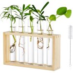 Tianyi - tenture murale en verre planteur propagation station murale 5 tube a essai en support en bois ...
